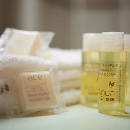 Ace Toulouse Blagnac 3* Корнебарьё